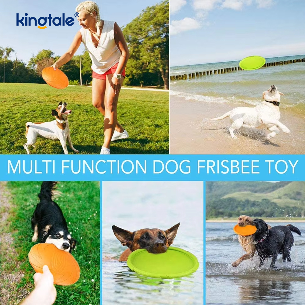 Kisállat frizbi