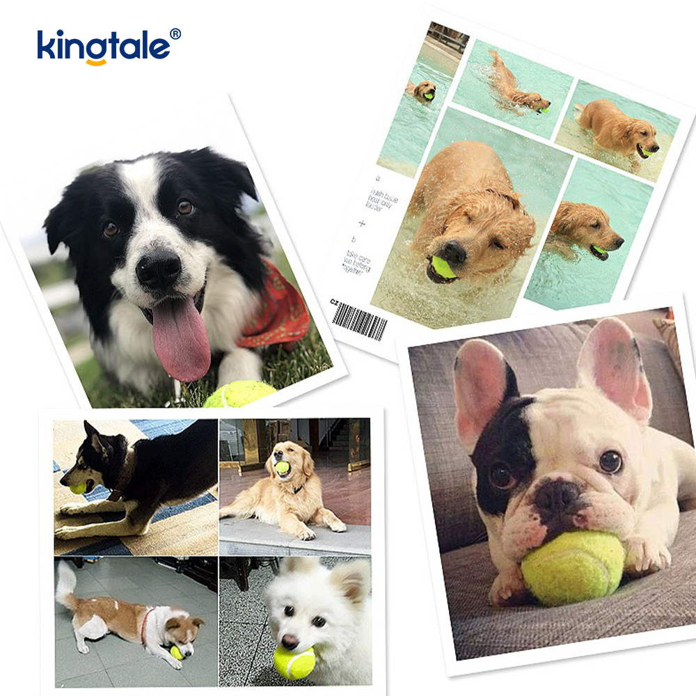 Kisállatjáték Tenisz Tartós és harapásálló a Pet Chew Exercise Interactive számára