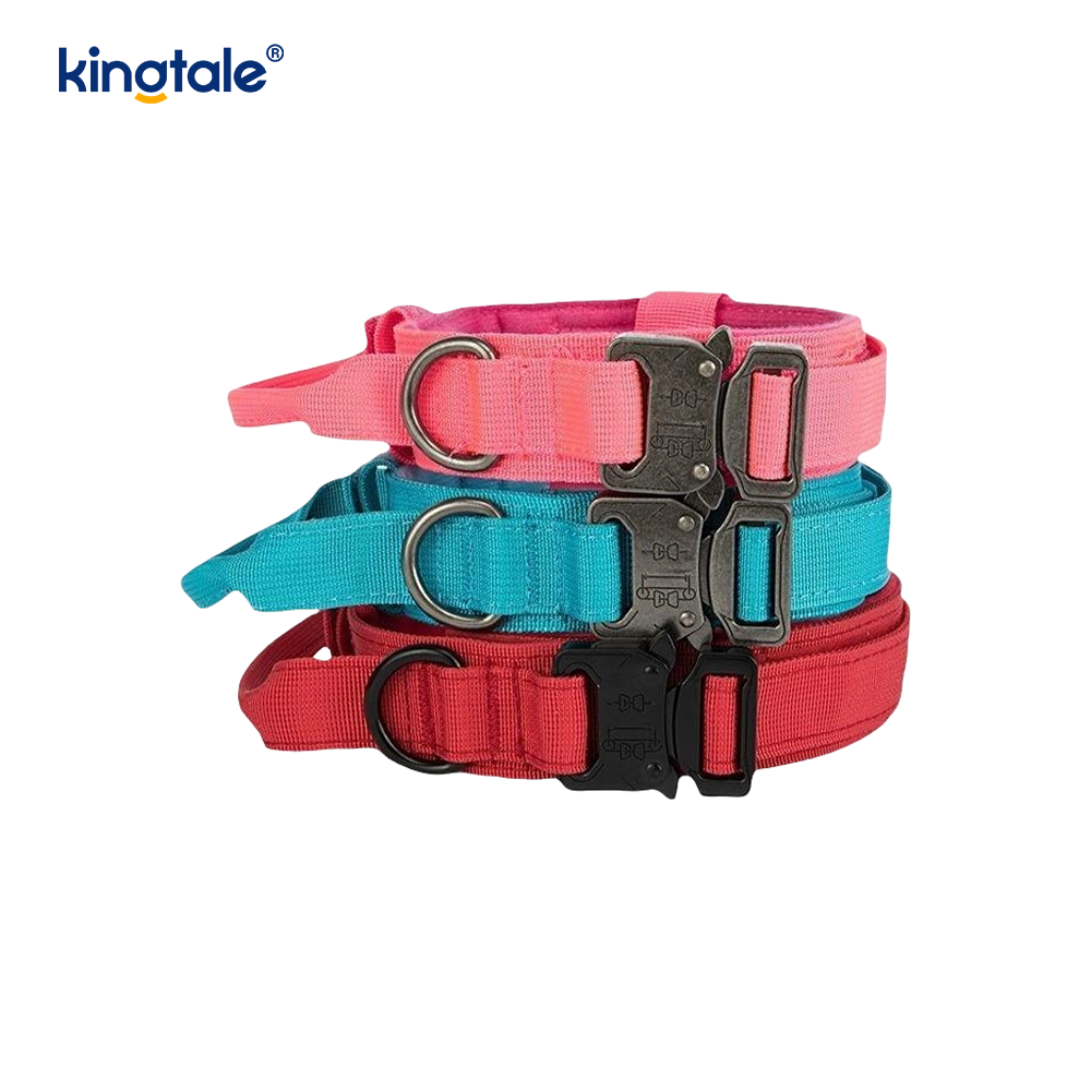 CutsomTraining Nylon Control Handle Fém csatos gallér