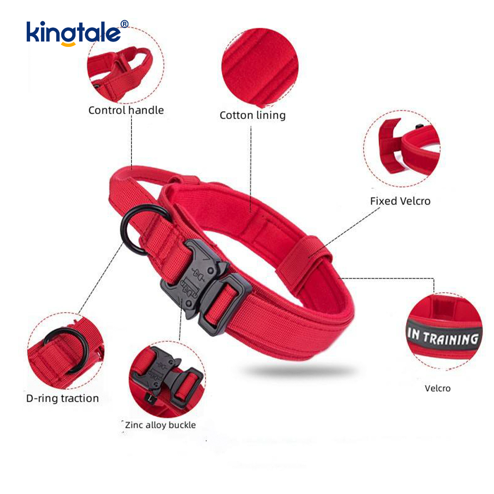 CutsomTraining Nylon Control Handle Fém csatos gallér