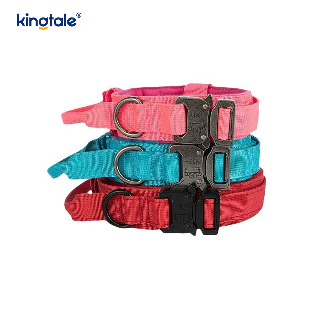 CutsomTraining Nylon Control Handle Fém csatos gallér