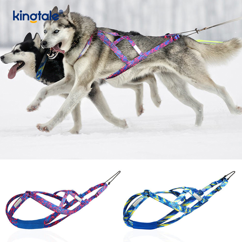 Kutyahúzó husky hám X hátsó hám kutyák számára
